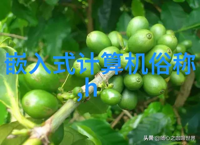 智能手表健康监测我的智能小伙伴如何让它更精准地关怀我的身体