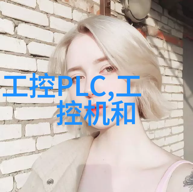 北京市经信局副局长苏国斌一行莅临考察调研