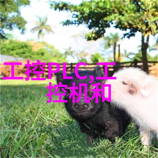 绿茵谜局农产品检测仪器背后的秘密