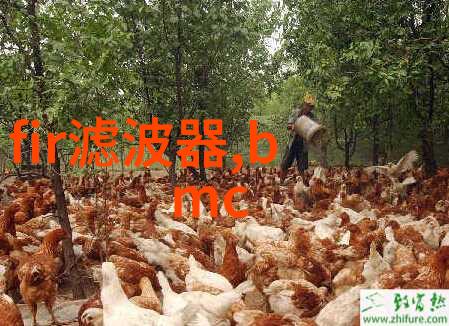 固定床反应器的优点-高效混合与催化提升化学生产效率的关键技术