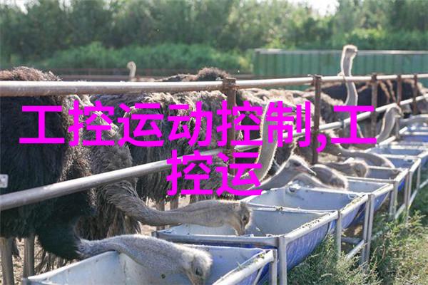 微控制器时代的智慧之源嵌入式软件的艺术与实践