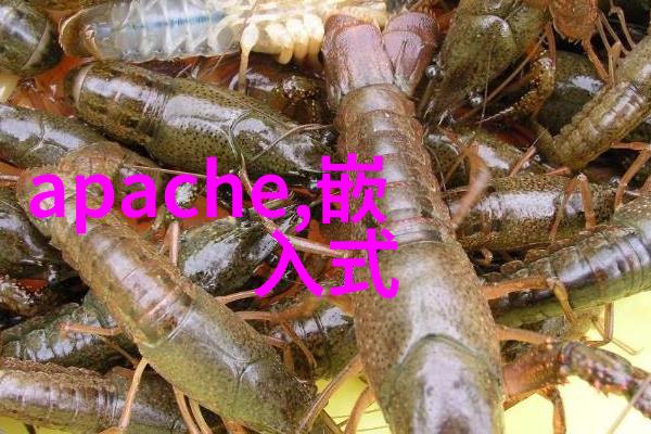 主题我是怎么迈开腿打扑克做视频的