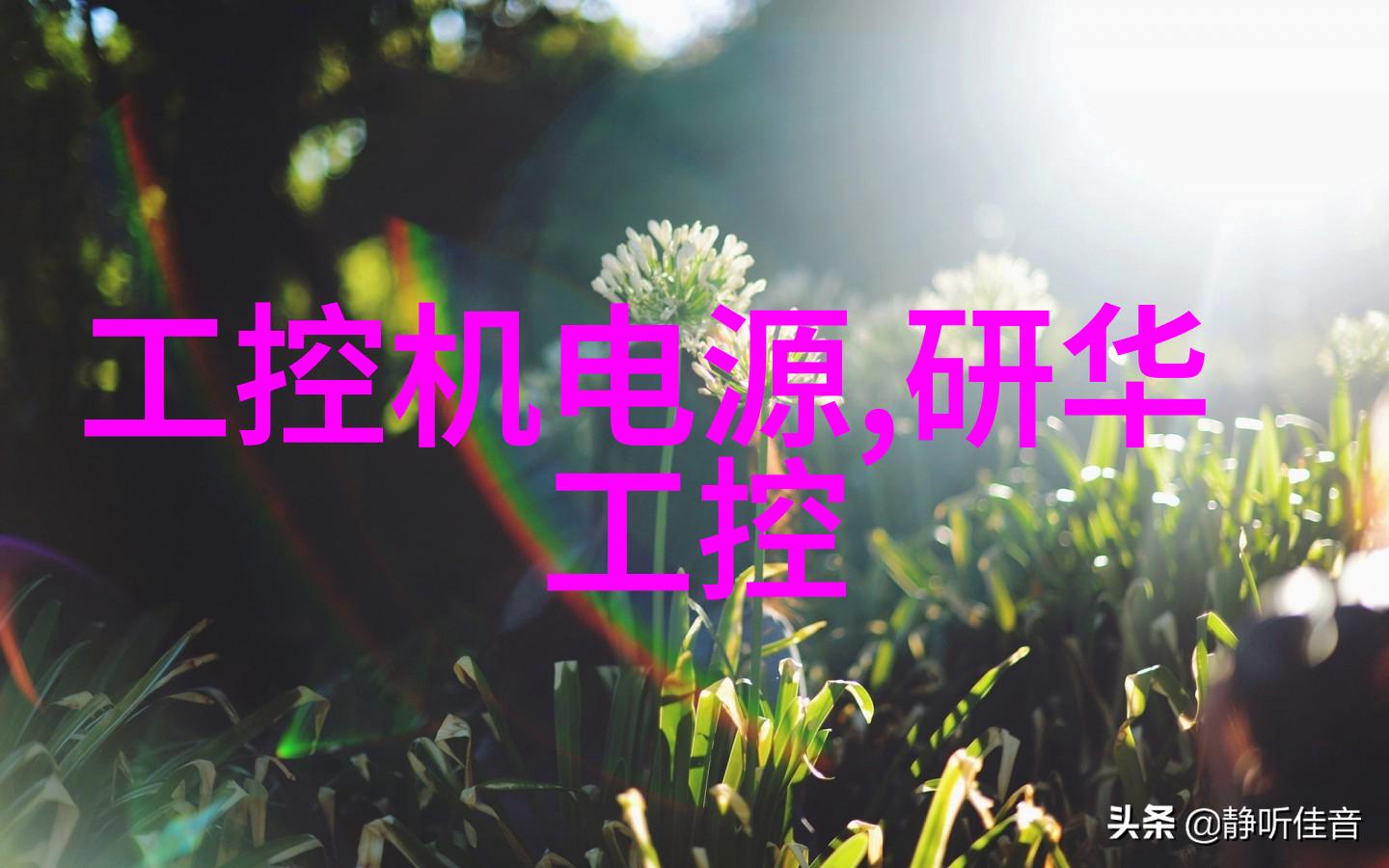 不锈钢化工反应罐高效耐腐蚀的化学储存容器