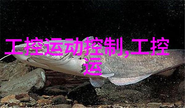 电影 我的BBS时代那些年我们一起追星和讨论