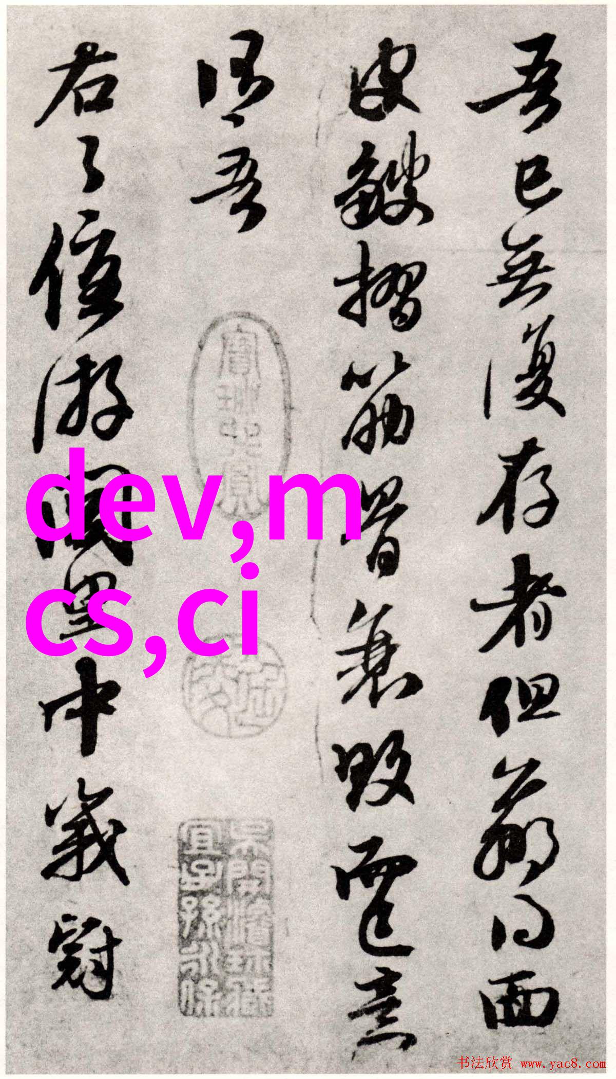 庭院之美创意装修设计指南