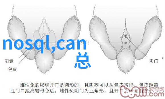 三瓣六瓣填料安装要求如何正确选择和安装三瓣六瓣式家具填充材料