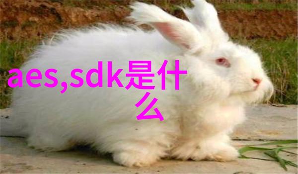对于环保要求较高的项目使用PE排水管材是否符合相关标准和规范