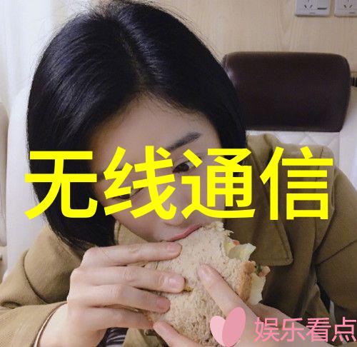 深渊之芯嵌入式单片机的秘密篇章