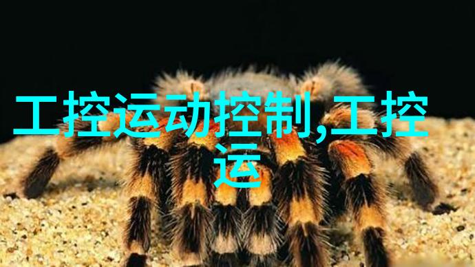探索文艺流派纨绔子弟文化的魅力与局限