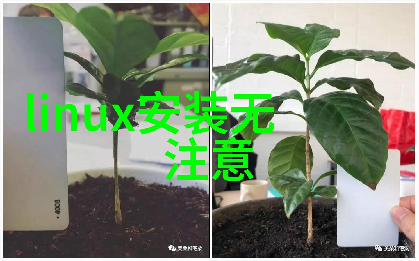 高效实验室设备采购招标通知