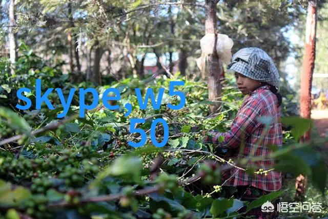 生活用水水质检测价格-精准测量健康保障了解您的饮用水质量