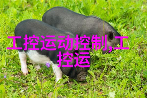 电子工程的双刃剑揭秘FPGA与单片机的差异