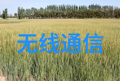 嵌入式系统设计与开发高效的嵌入式工程实践