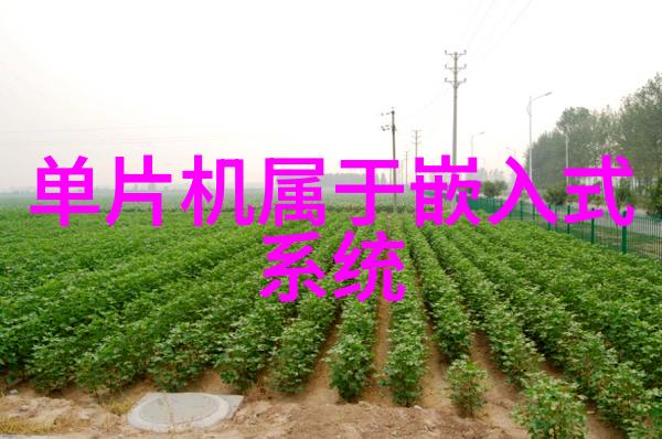 不锈钢波纹板填料金属艺术的灵魂之石