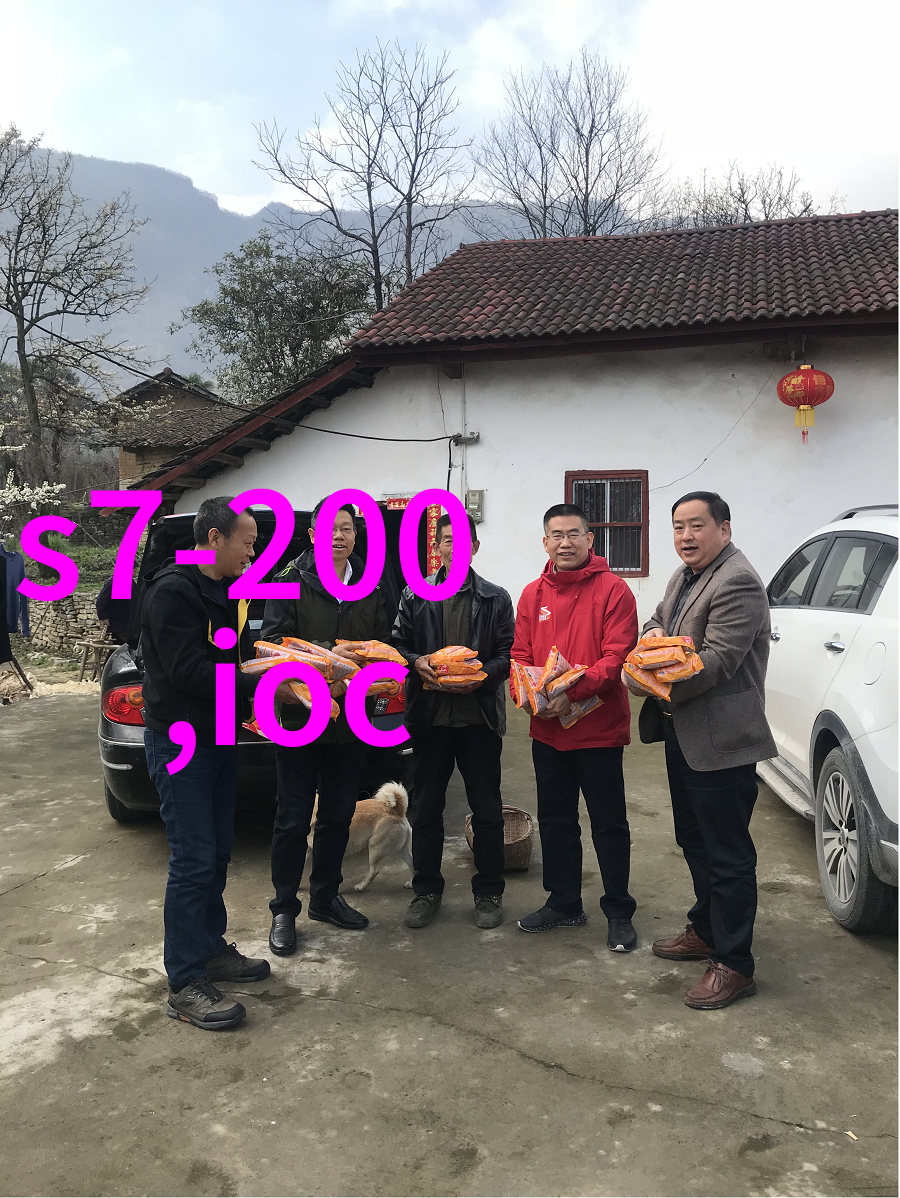 汽车技术-全球十大汽车芯片引领未来驾驶的智能力量