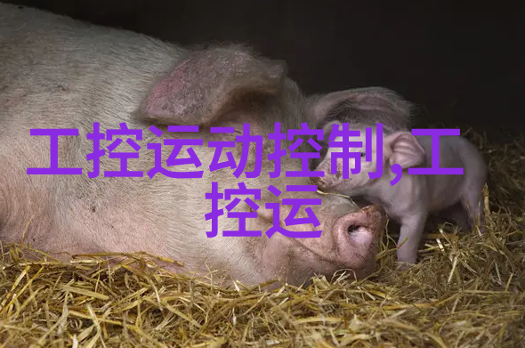 嵌入式和非嵌入式的区别-硬件与软件解析嵌入式系统与传统计算机的差异