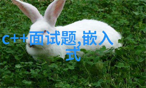 垃圾之城危废处理设备的逆袭传奇