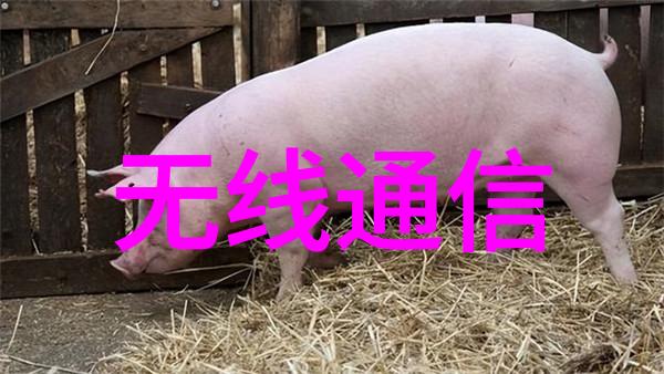 片剂机械的发展历程与未来趋势分析