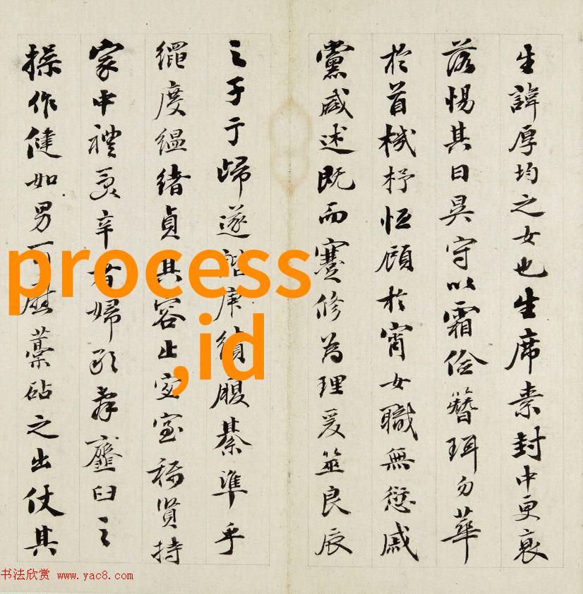 旋流曝气器的应用与优化策略
