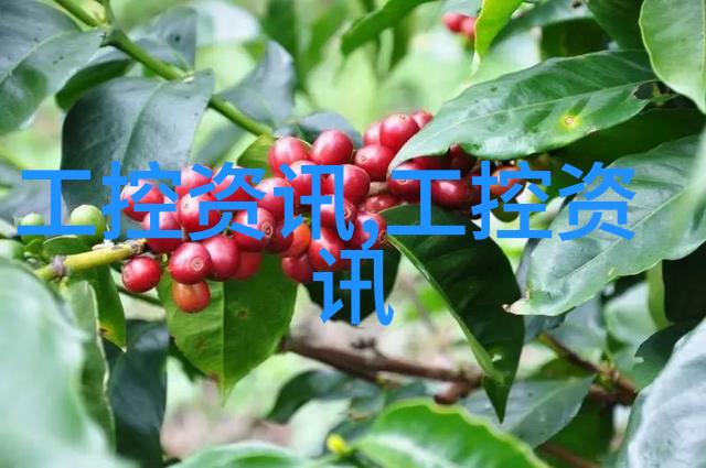 肺炎前兆三种不容忽视的信号