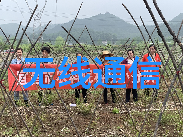 代码深渊揭秘嵌入式开发的神秘世界