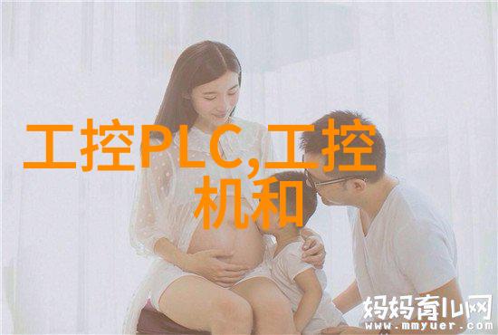 嵌入式系统的基本组成与工作原理