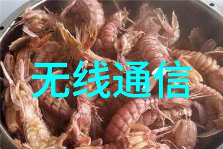 学长的午餐惊喜小兔子的不幸遭遇