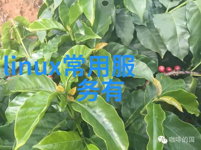 水质检测仪器使用方法解锁清澈源泉的秘密