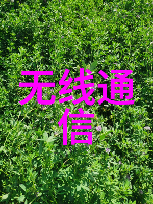 编程与系统设计揭秘嵌入式系统的核心知识