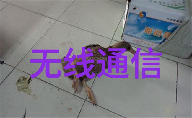 化学反应中的秘密工厂化工药包材制造设备的神秘之谜