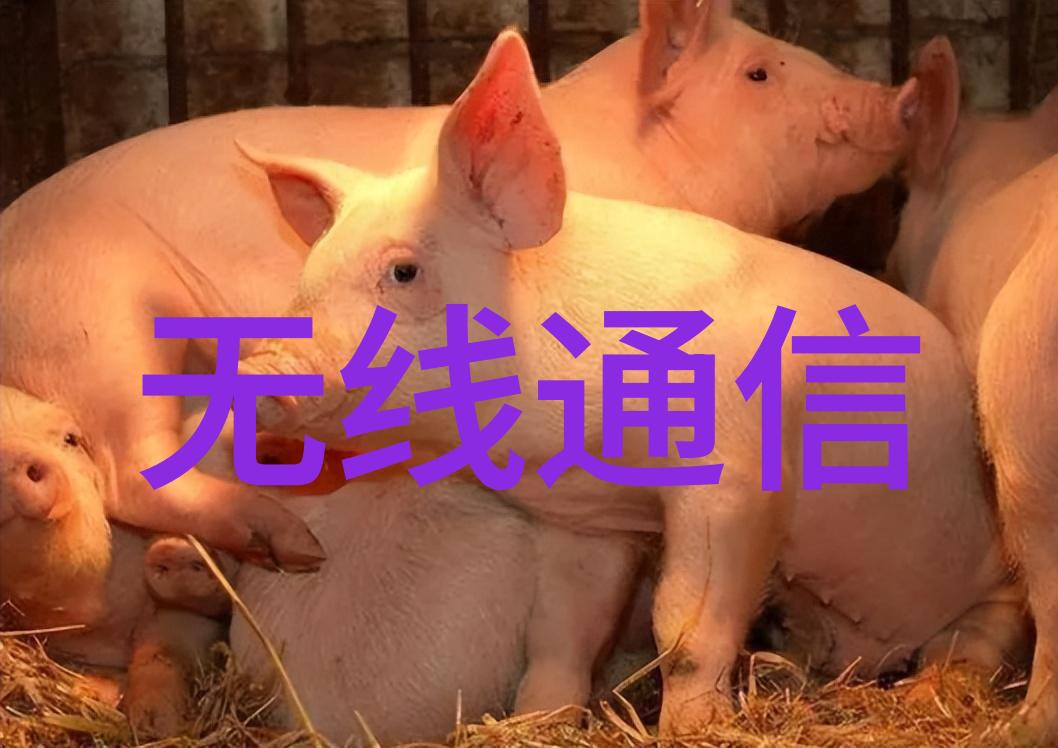 星辰变我的无弹窗冒险