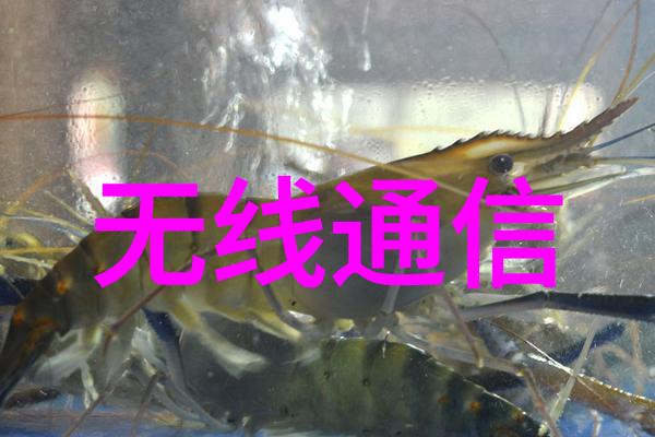 如何自我提升到高效教学的亲身实践视频教程