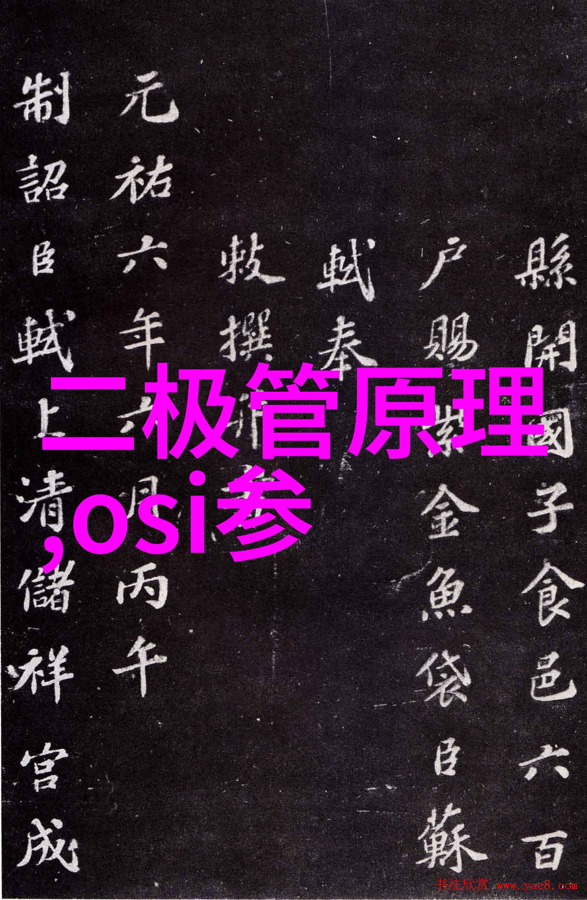 暗黑复仇者的绝对胜利完美存档的秘密与挑战
