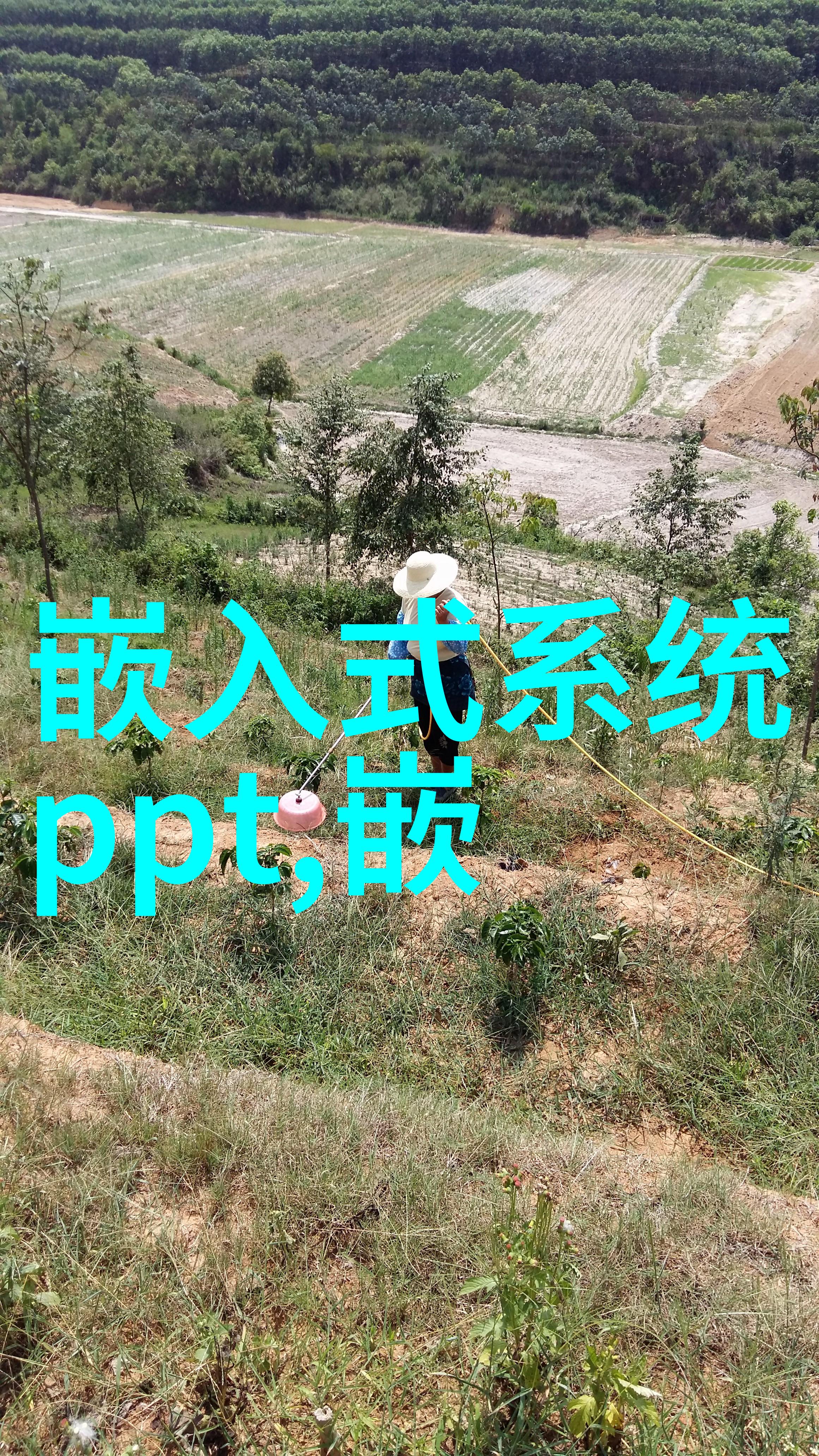 421科学中的一个特殊代码
