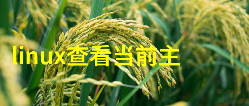 水位监测系统的重要性与应用实例