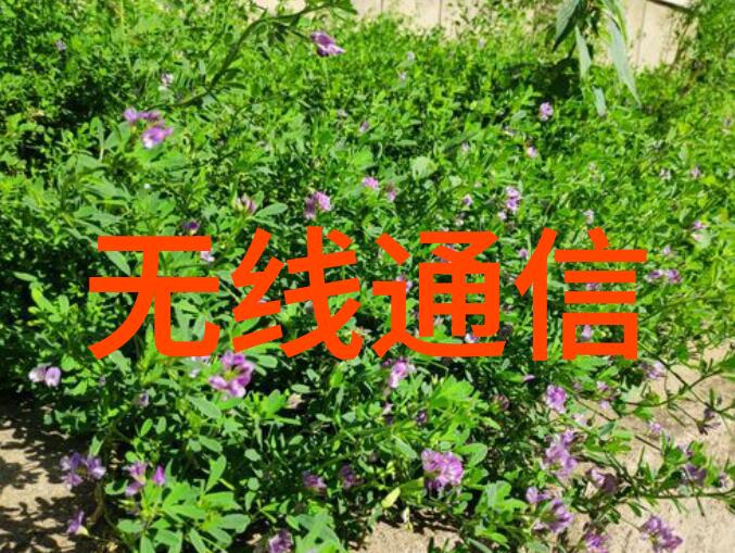 在教育领域嵌入式技术能够提供哪些创新教学工具