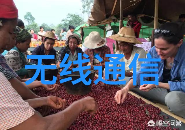 嵌入式开发是什么意思-深度解析微控制器应用程序的编程艺术
