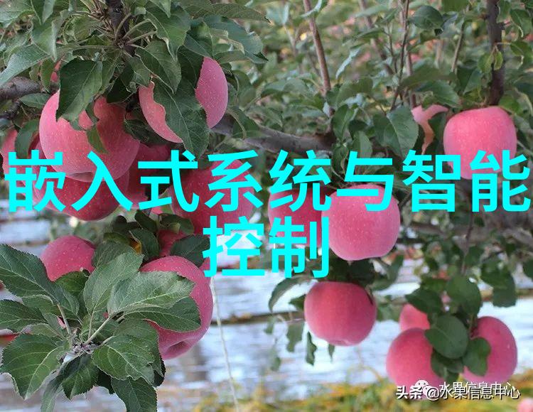 妈妈的朋友都市生活中的温馨故事