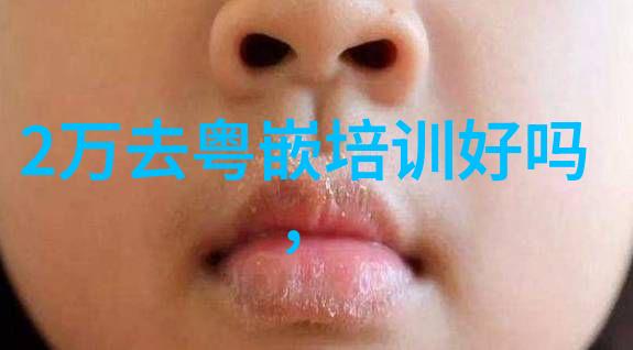 热传导-物体间能量传递机制的探究