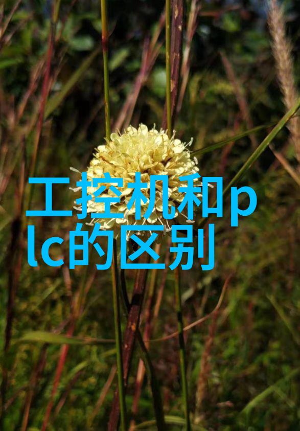大主宰小说我是这本书里的神话级英雄怎么办