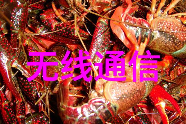 嵌入式软件工程师招聘启事寻找创新驱动的技术精英