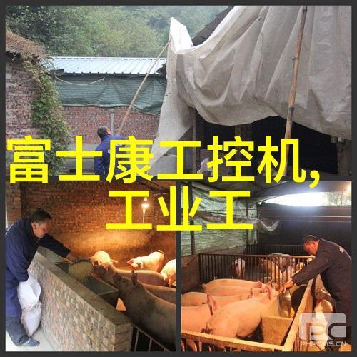 净化之源活力颗粒的精妙工艺