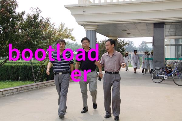 ChatGPT官网注册流程详细步骤与十大高科技行业使用指南在自然界中的应用