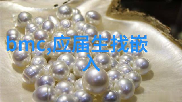 微型粉尘清除器家庭小工坊的新伙伴