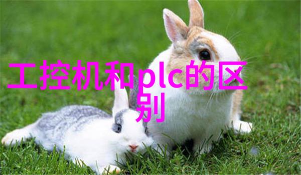 数字灵魂嵌入式计算机的秘密生活