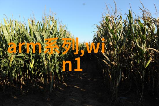 化工制冷设备冰晶之城的守护者