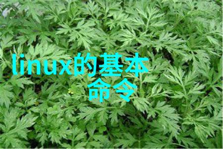 给水排水工程高效环保的城市雨污处理系统