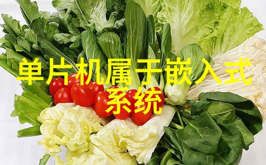 一人看WWW字幕-独影网页一人的文字幕旅程