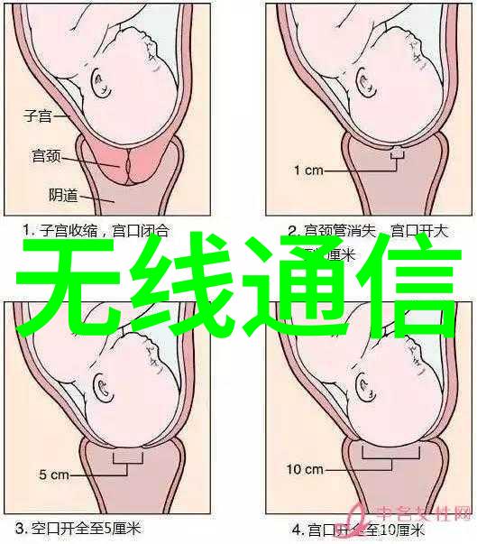 重返时光的影子女王