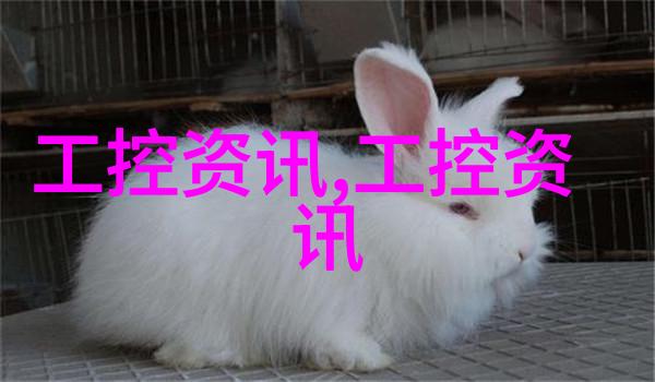 图形天下我在网页设计的奇幻之旅从初学者到图形界的霸主